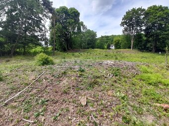 Na predaj pozemok v lone prírody - Ružín - 9