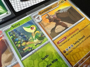 Pokemón MEGA balík (E): 100ks kariet v obaloch s EX + darček - 9