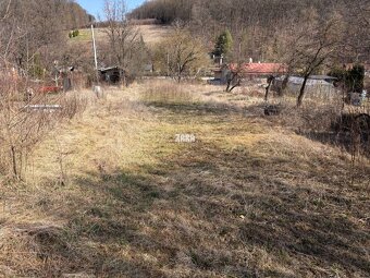 Veľká záhrada v chatovej lokalite Baška časť Maša, Košice - - 9