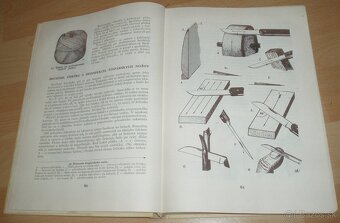 Štepenie, očkovanie a preštepovanie drevín - 9