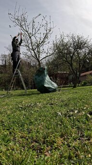 🌿 Profesionálne zimné záhradnícke služby🌿 Záhradník - 9