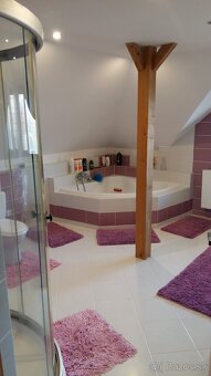 Domáci majster rekonštrukcie Michalovce - 9