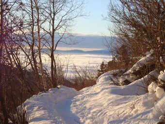 Sony Cyber-shot DSC-W130 - 9