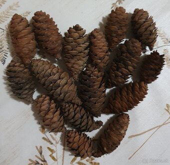 Vetvicky a sisky na adventne vence / dekoracie - 9