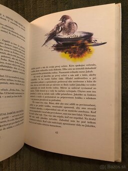 Krásne staré knihy pre deti - 9