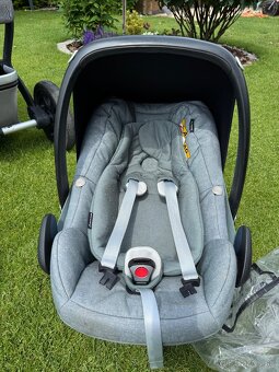 Kocik Joolz day 2 - 9