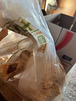 Klietka pre škrečka - 9