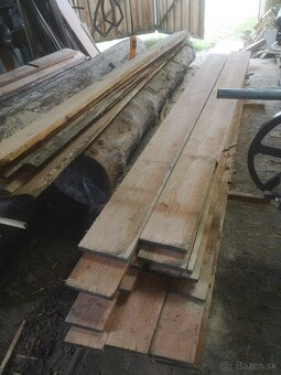 Kmeňova pásová pila - 9