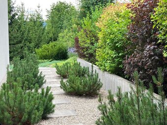 Novostavba RD Krásne Hôrky - 9