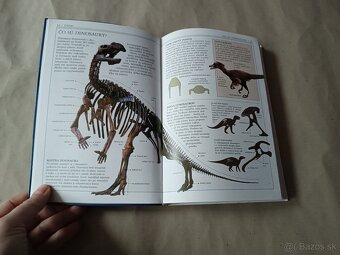Príroda v kocke: Dinosaury a predhistorický život - 9