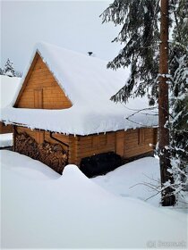Prenajmem drevenicu - 9