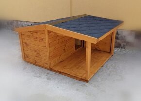 Búda pre psa - 9