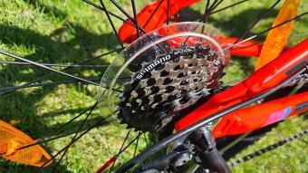 SCOTT - SCALE JR24 - 9