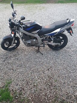Predam suzuki gs 500 - 9