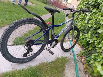 Bike Kenzel - 9