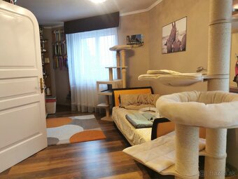 Miskolc - Vynikajúca príležitosť  - 9