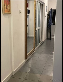 Dom s veľkým pozemkom + veľké priestory - 9