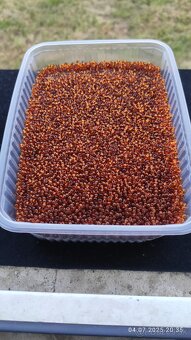 české korále více barev viz fota 1 kg 5 e - 9