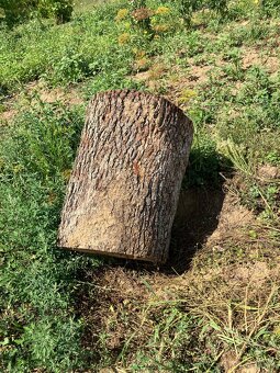 Dubovy pen=stol do exteriu - 9