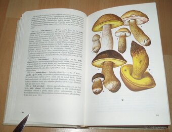 Huby lesov, polí a lúk - 9