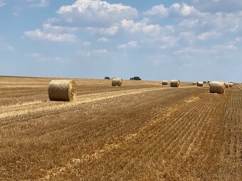 Slama z pod strechy - 9