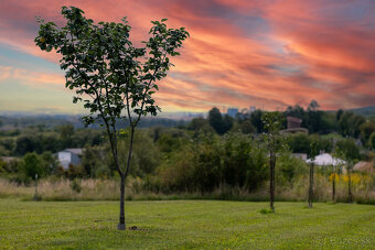 Atraktívny investičný pozemok | Košice - Poľov - 9