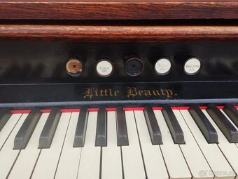 Organ s dubovým puzdrom Needham. - 9