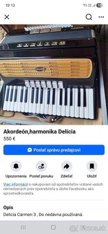 Predam akordeon Delicia - 9