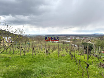 NOVINKA Krásna chata s vinicou - Trnava pri Laborci - 9