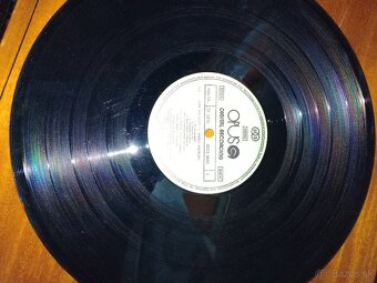 Platne - 9