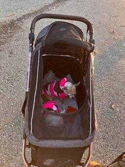 Kočík pre psa do 23 kg PetBuggy - 9
