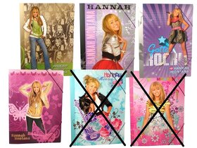 ŠKOLSKÉ POTREBY Hannah Montana, HSM, CAMP ROCK a Jonas - 9