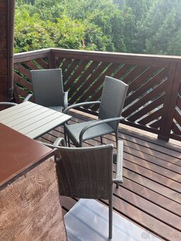 Apartmán v pavčinej lehote -Demänovská dolina-Jasná - 9