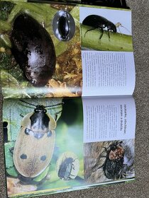 Knihy o hmyze - 9