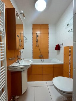 NA PRENAJOM: 1 izbový byt na Družbe - 9