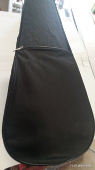 PREDAM ELEKTRONICKE HUSLE - 9
