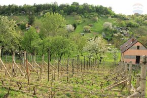 Predaj vinohradníckeho domčeku s vinohradom v Skalici - 9