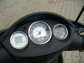 Peugeot Geopolis 250 i - 9