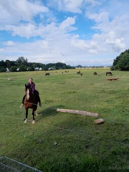 Náš Princ hledá svoji princeznu - 9