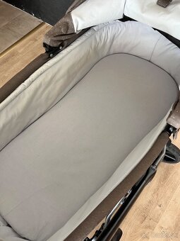 Roan Bloom hnedý - 9