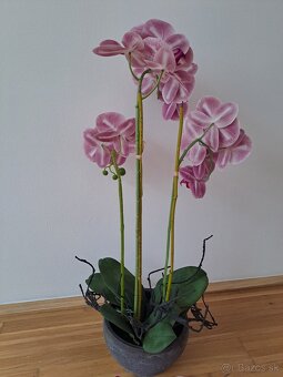 umelá orchidea v kvetináči, výška 75cm - 9