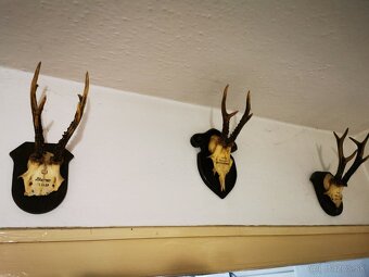 Srnec a ine troeje - 9