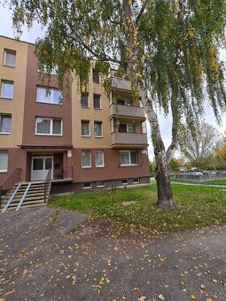 REZERVOVANÉ - NA PREDAJ – HOLÍČ: 1-IZBOVÝ BYT V CENTRE MESTA - 9