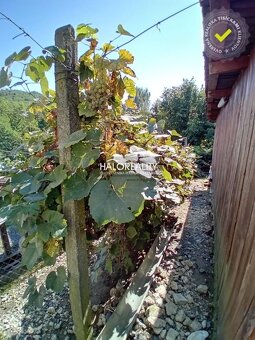 HALO reality - Predaj, rodinný dom Šíd, útulný, v tichej lok - 9