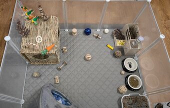 Zakrslý králik s ohradou - 9