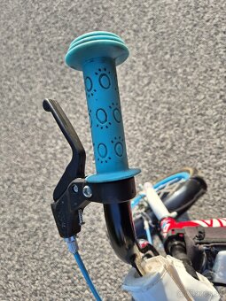 Alpina 16" - 9