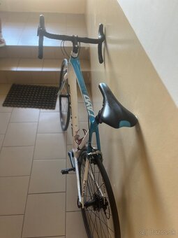 FOCUS Cayo XL - 9