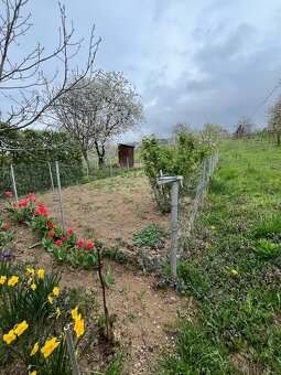 ZĽAVNENÉ • Na predaj vinohrad. domček s pivnicou a pozemkom - 9