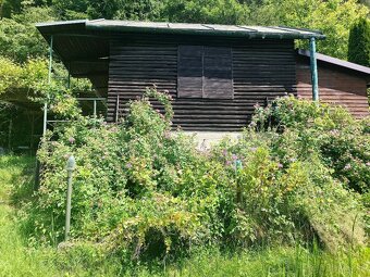 Predaj záhrady s chatkou v pôvodnom stave v OV,390m2-Budatín - 9