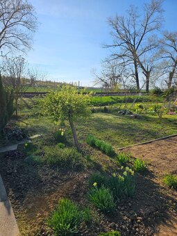 Predám záhradu Dolné Krškany - 9